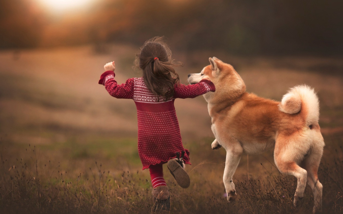 Девочка бежит по полю с собакой