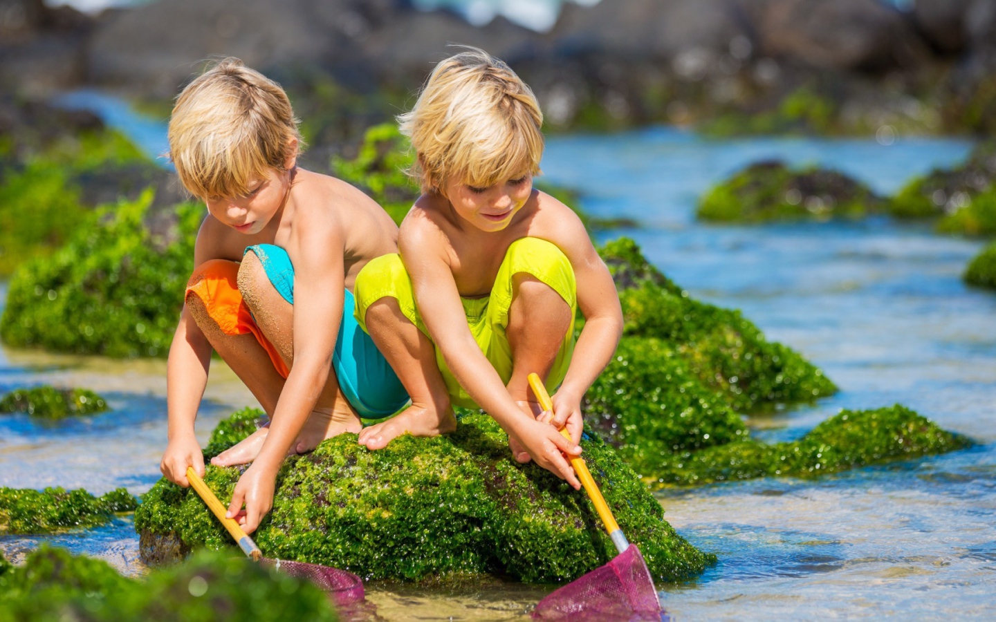 Два брата ловят рыбу сачками