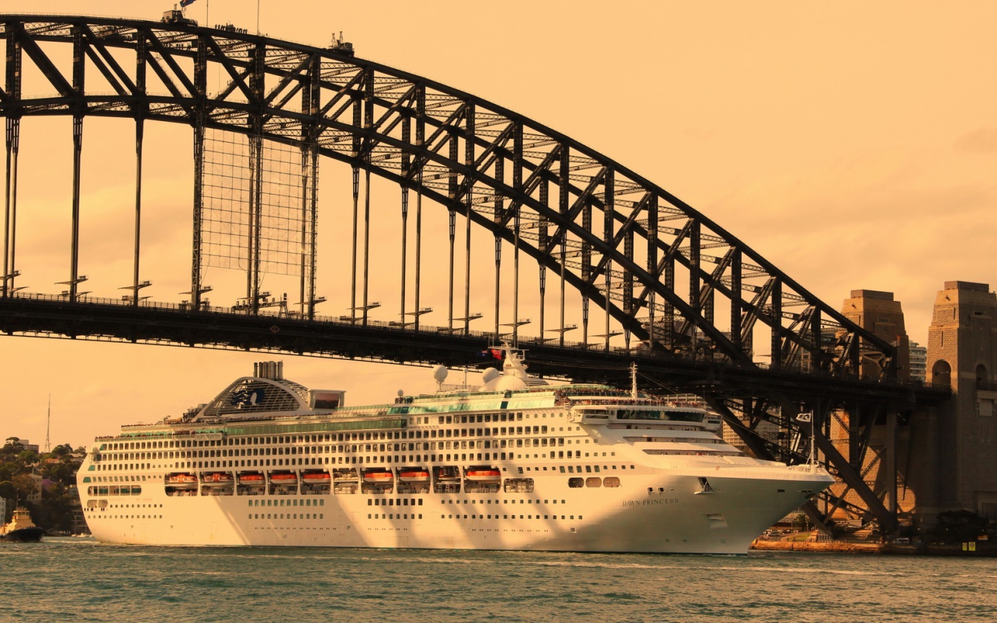 Круизный лайнер под мостом