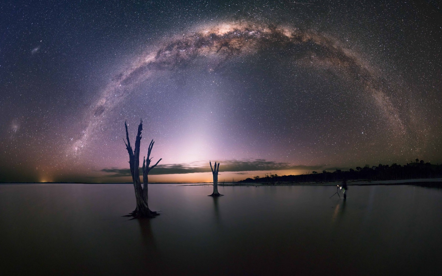 Остатки деревьев на озере под звездами