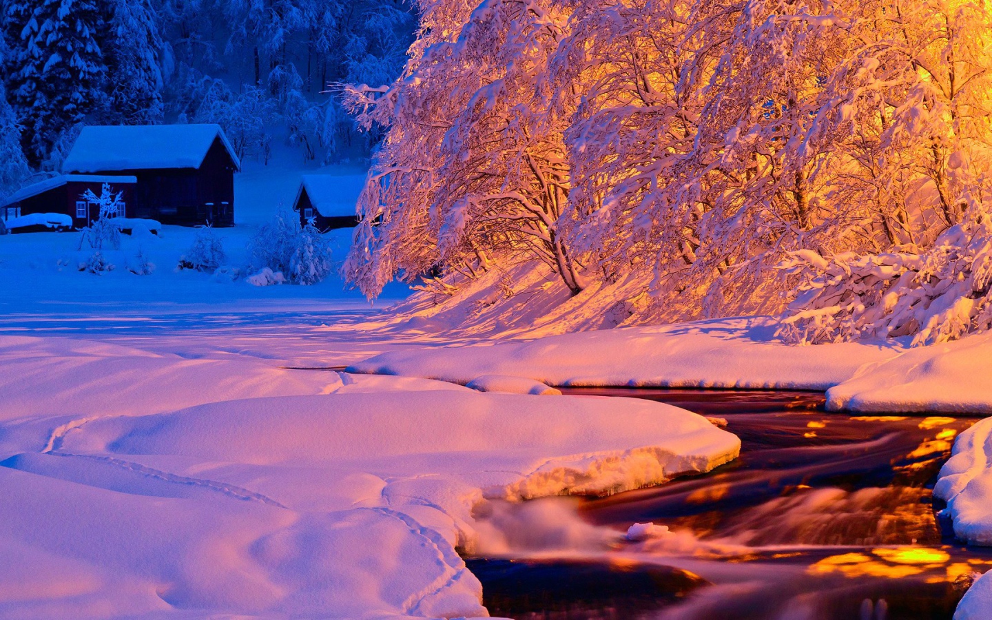 River in the snow