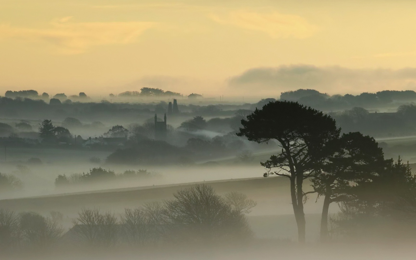 Город, покрытый густым туманом