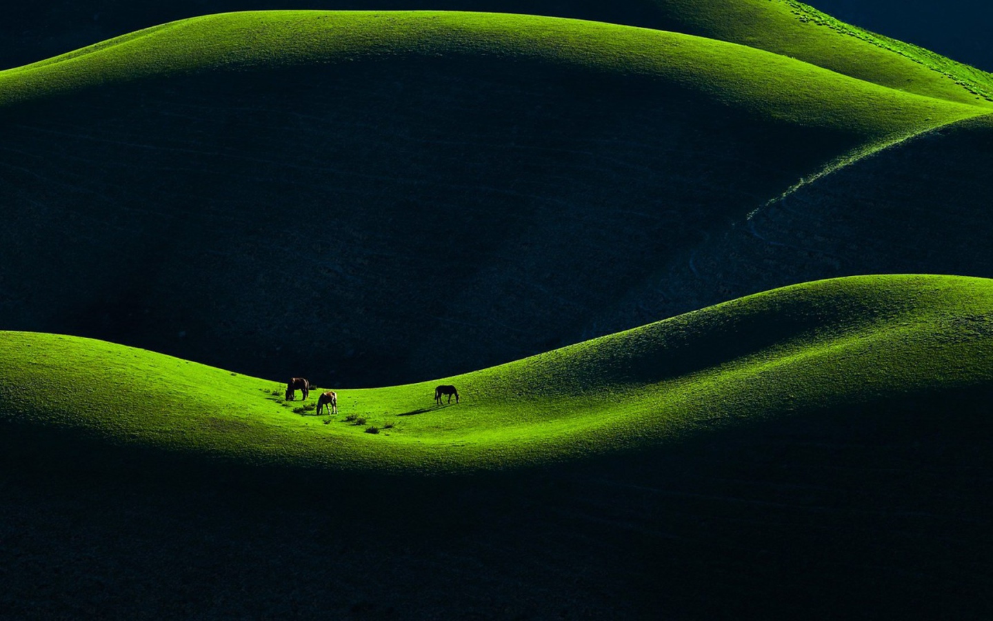 Горное пастбище в Китае