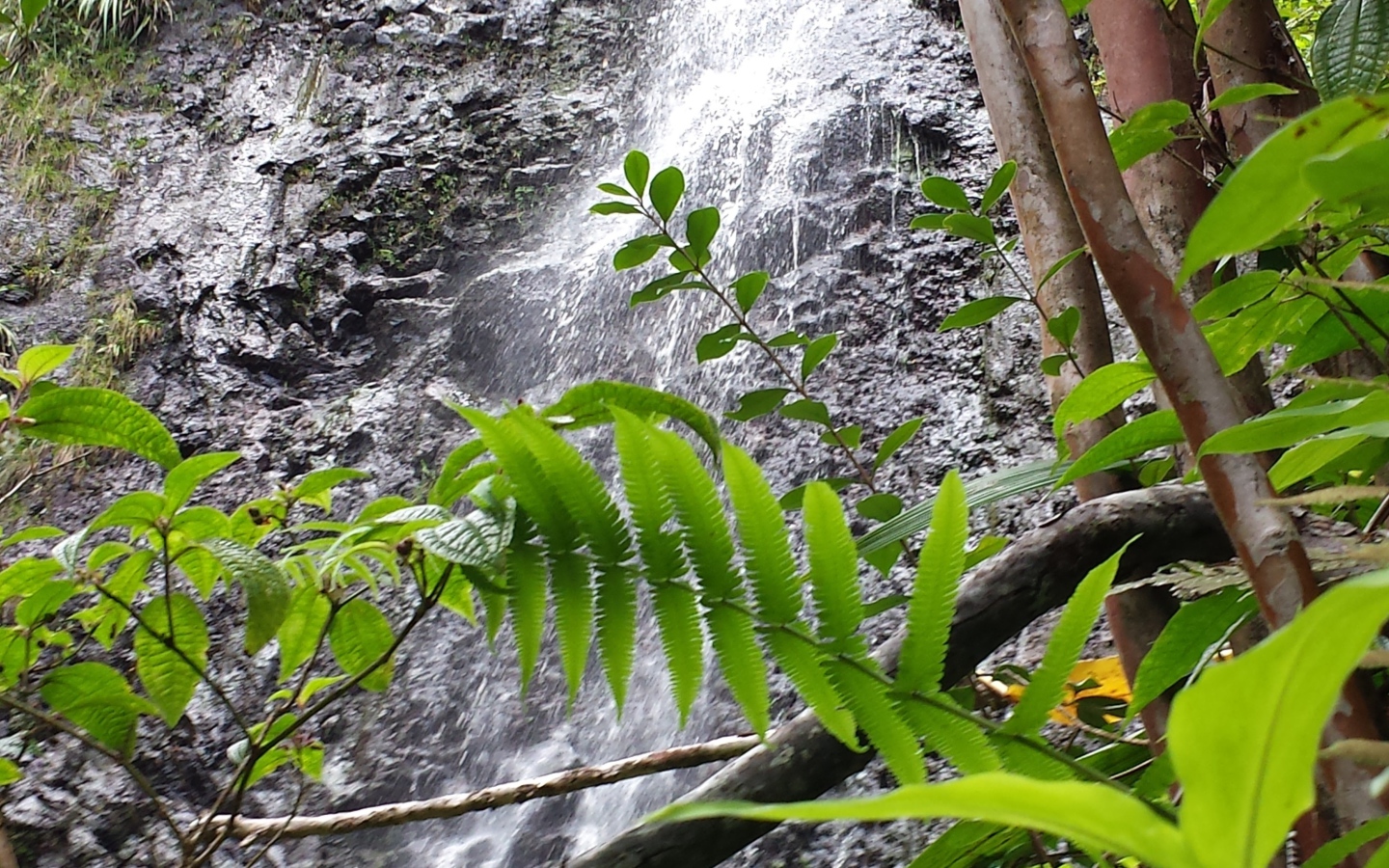 Водопад в заповеднике на Гавайях