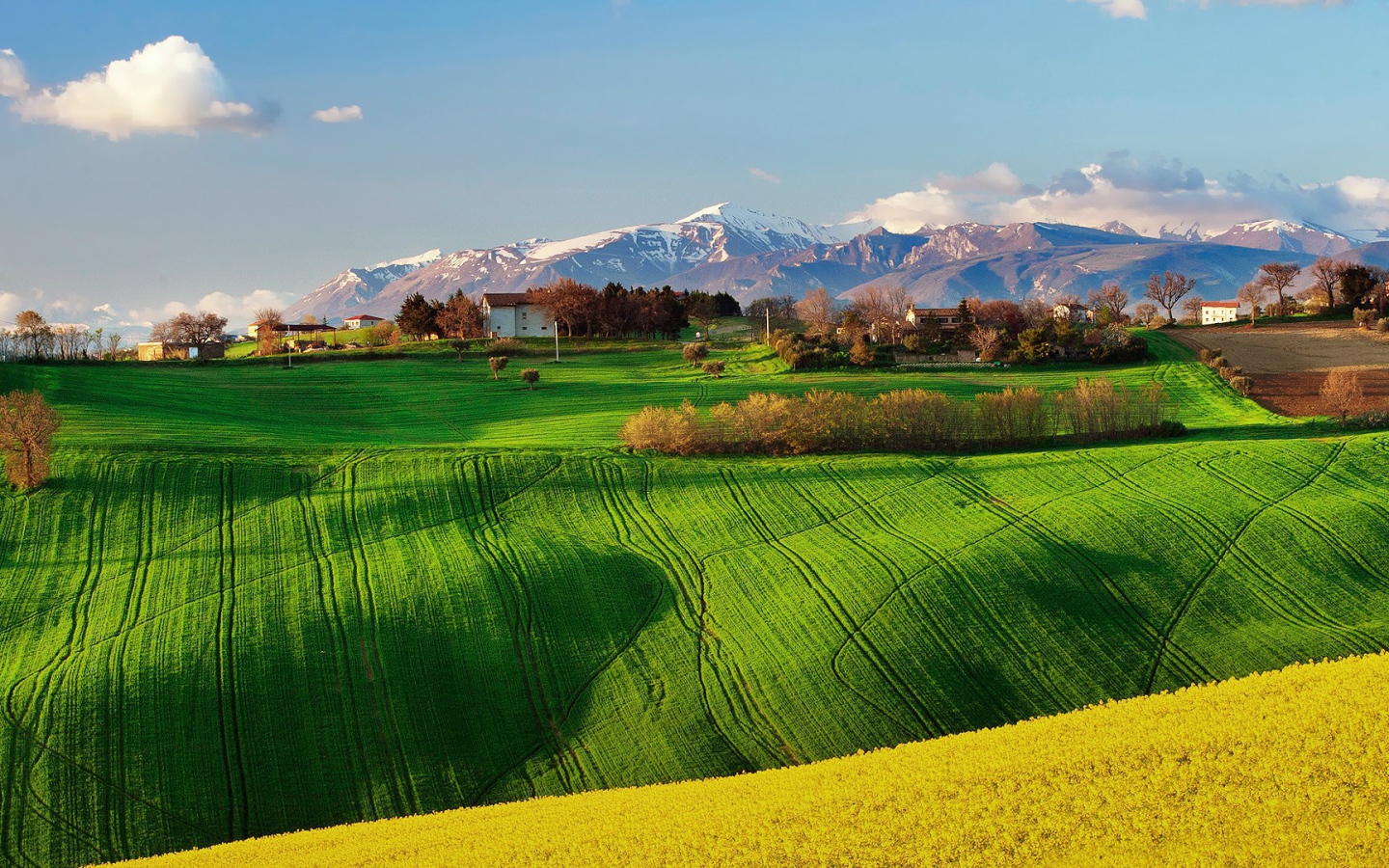 Зеленое поле в Италии