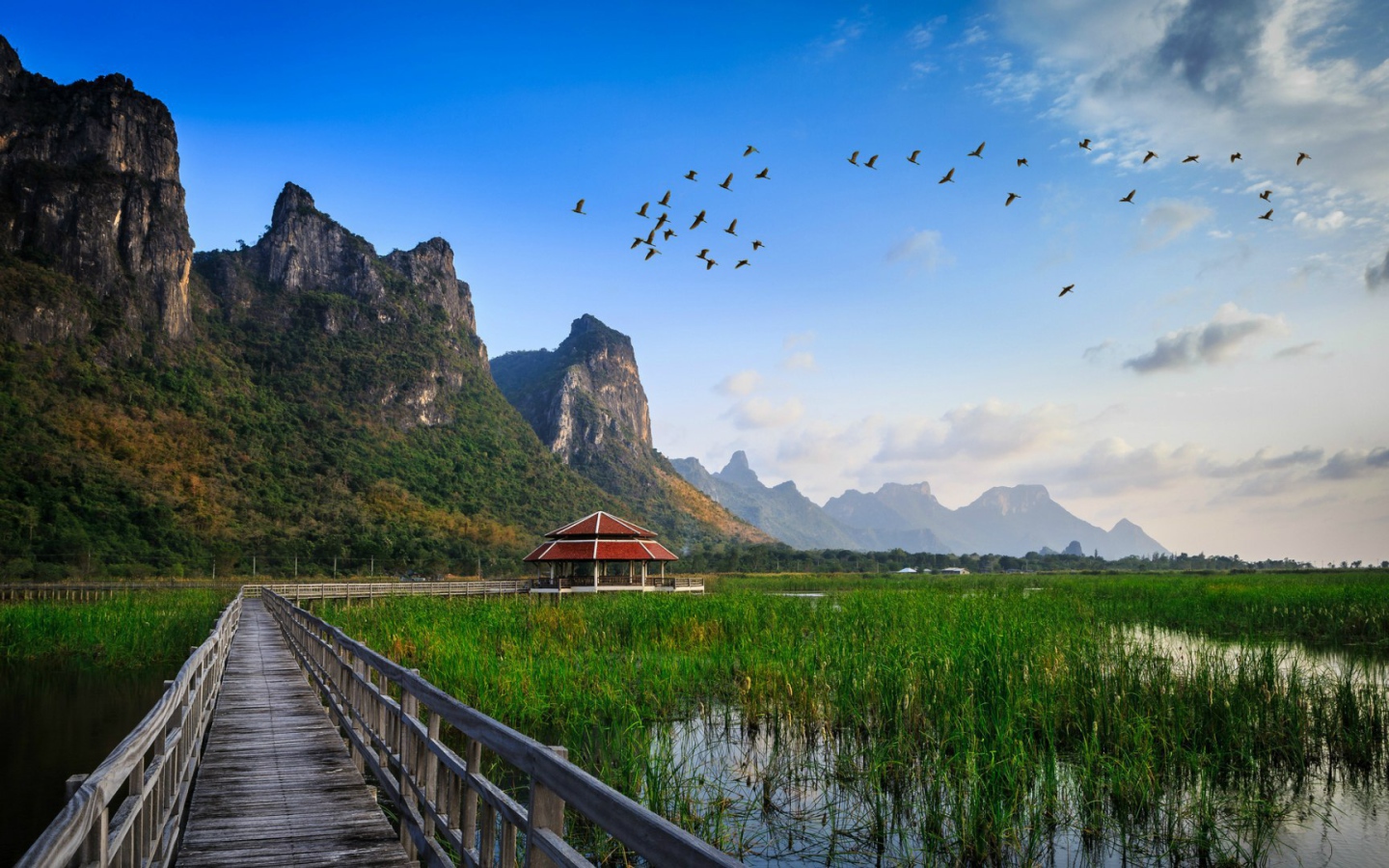 Заболоченная местность в Таиланде