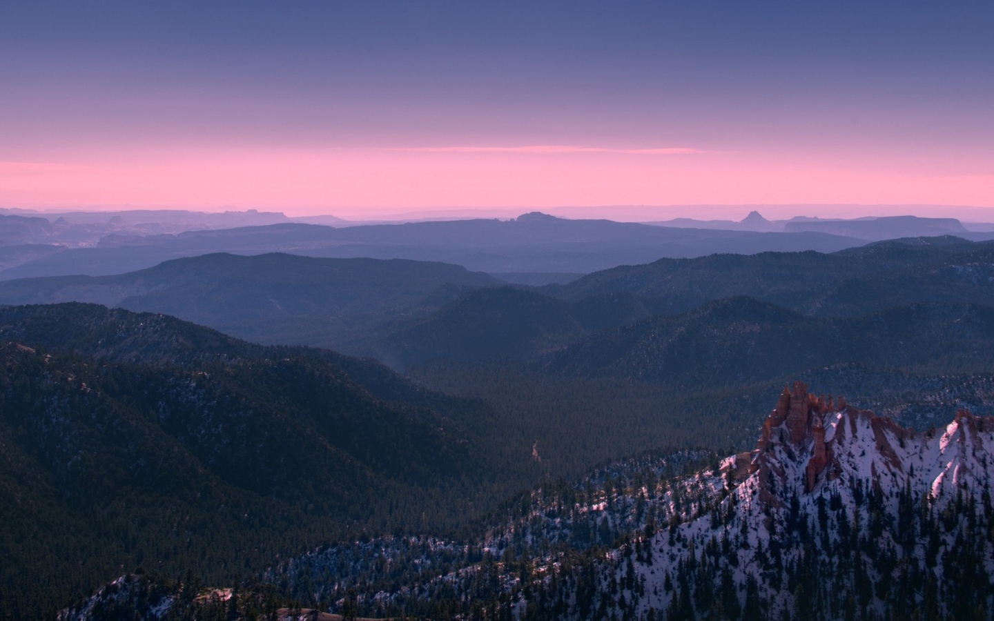 Покрытый лесом каньон Брюса в Юте