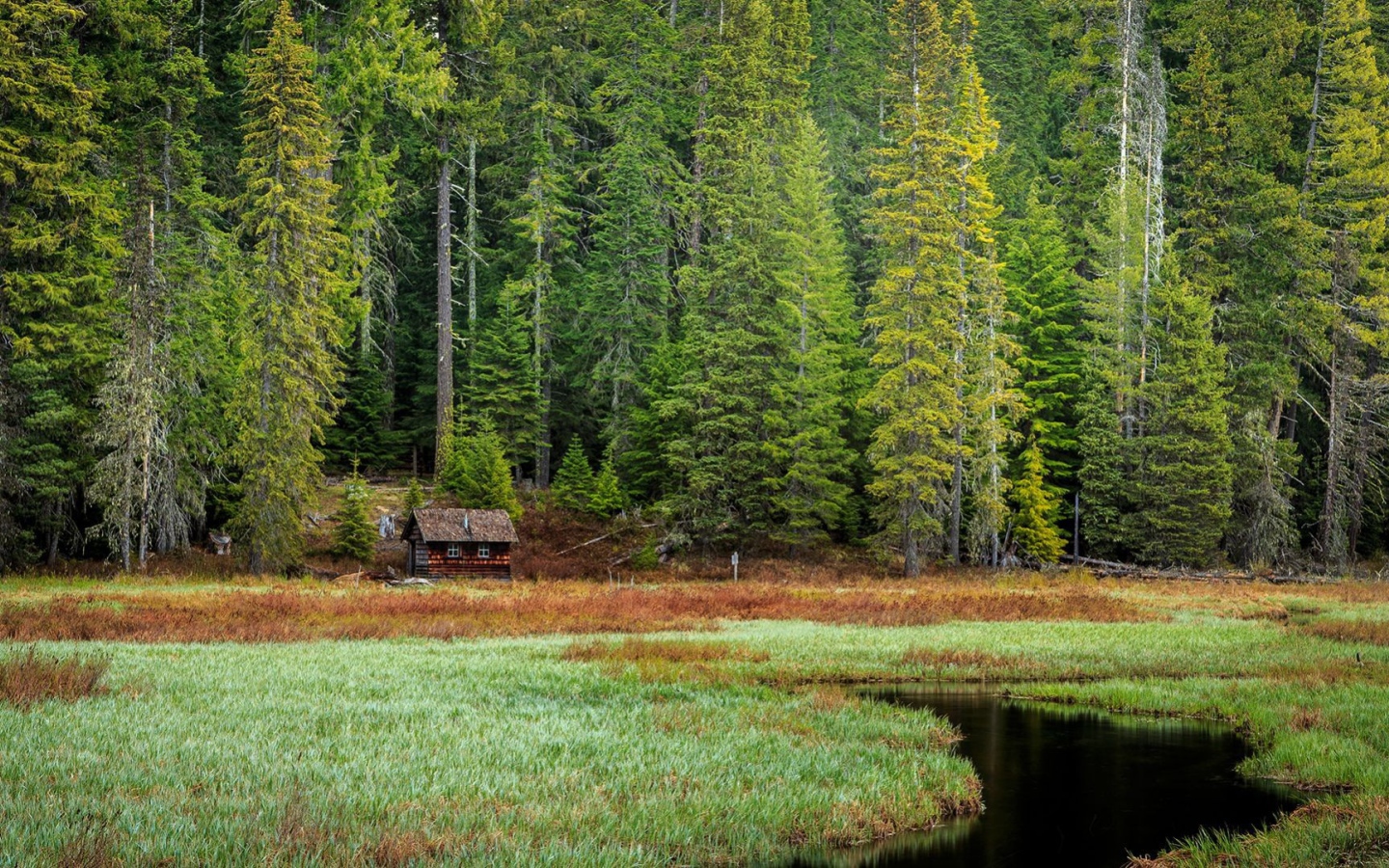Избушка на опушке леса, Орегон