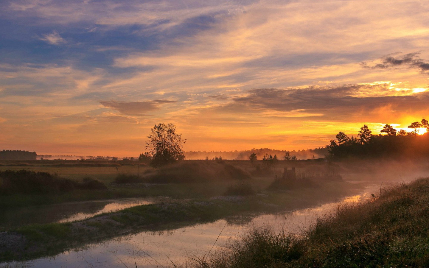 Woodland Park, Нью-Джерси, США