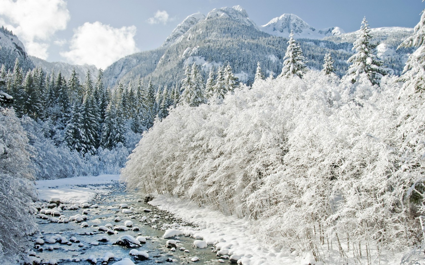 Йеллоустонский Национальный Парк , США