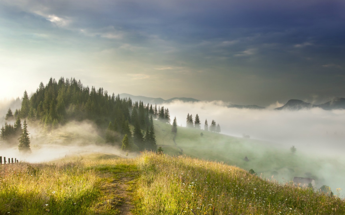 Туман в Карпатах, Украина