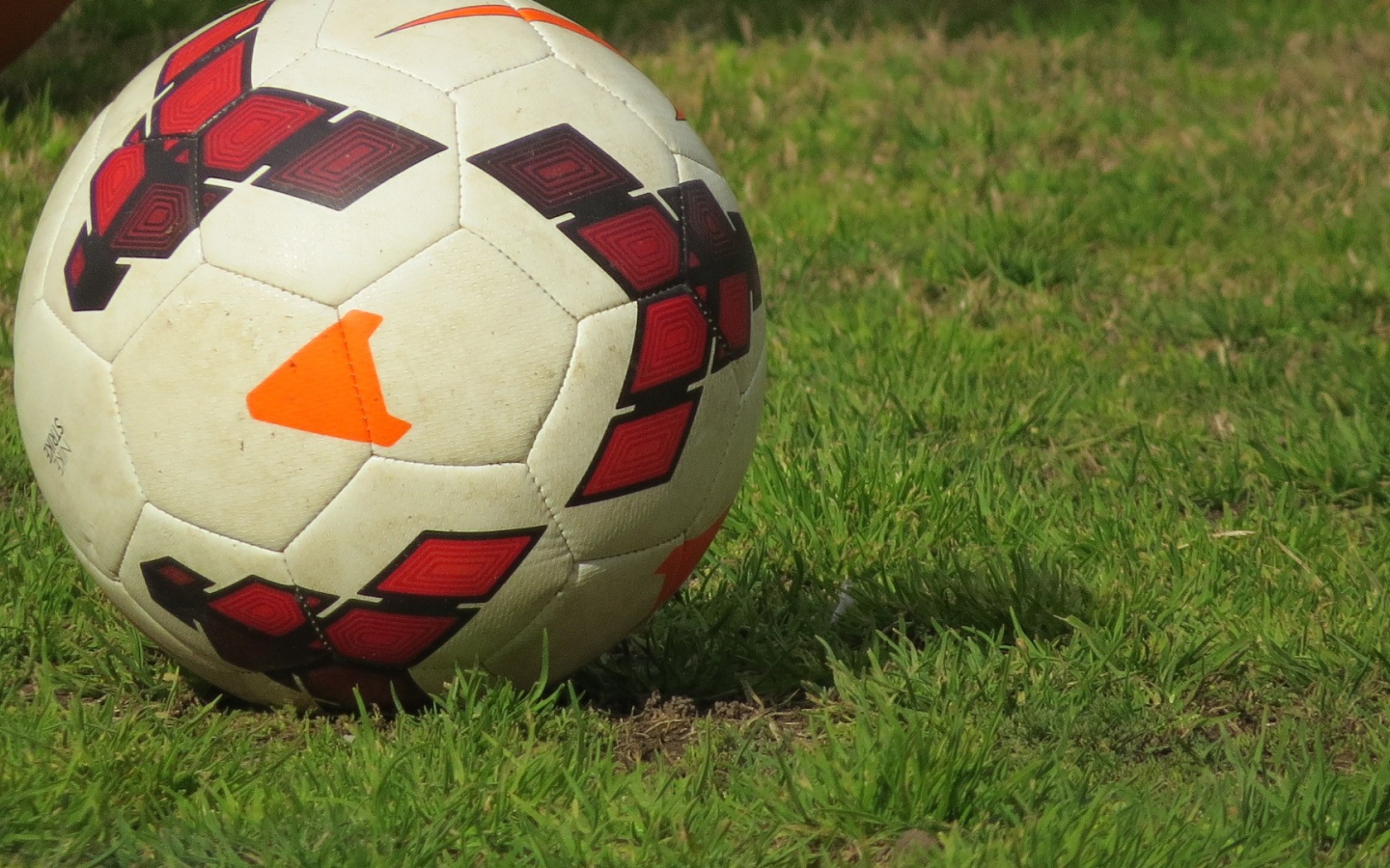 Soccer ball on a lawn
