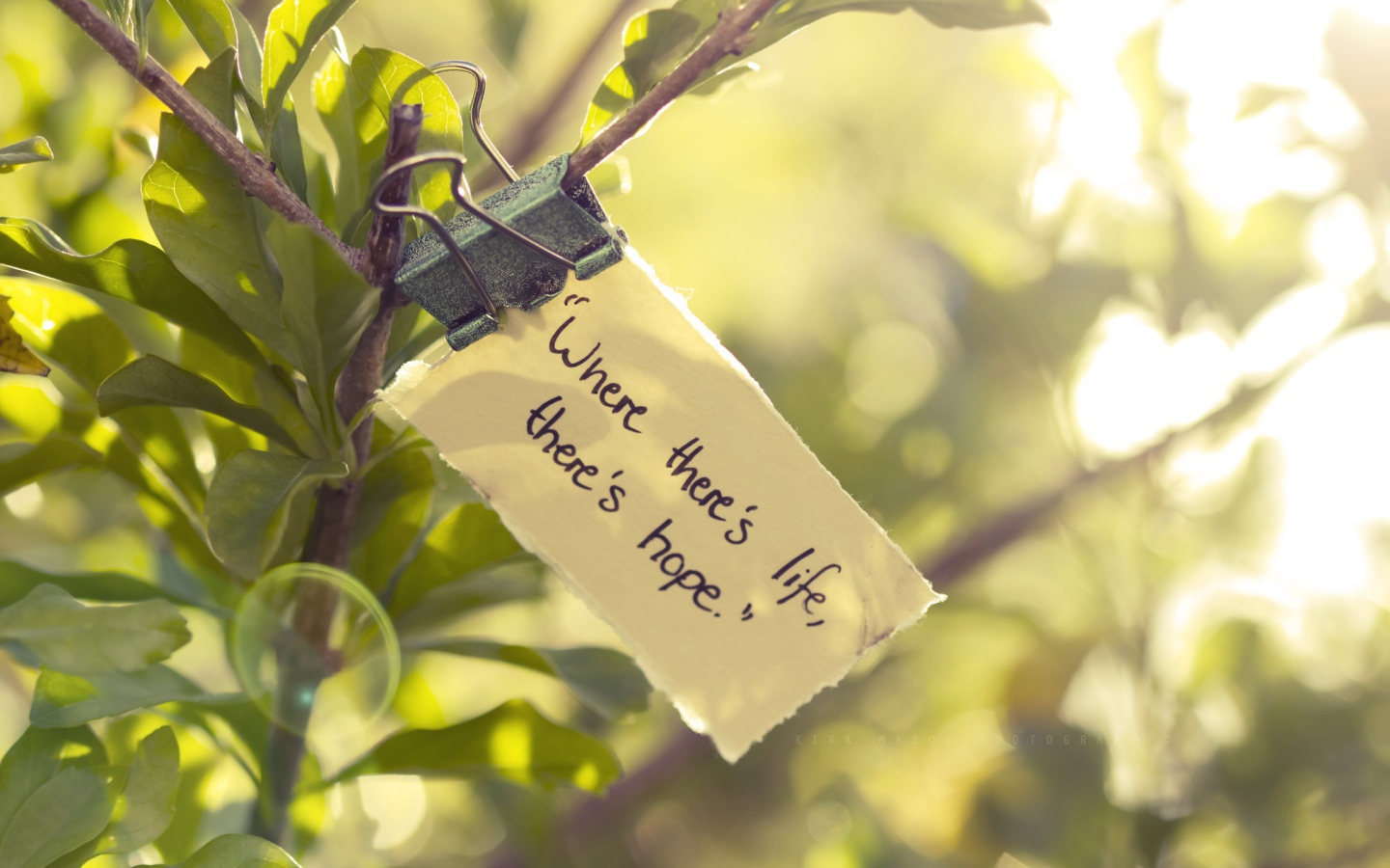 Где есть жизнь там есть и надежда