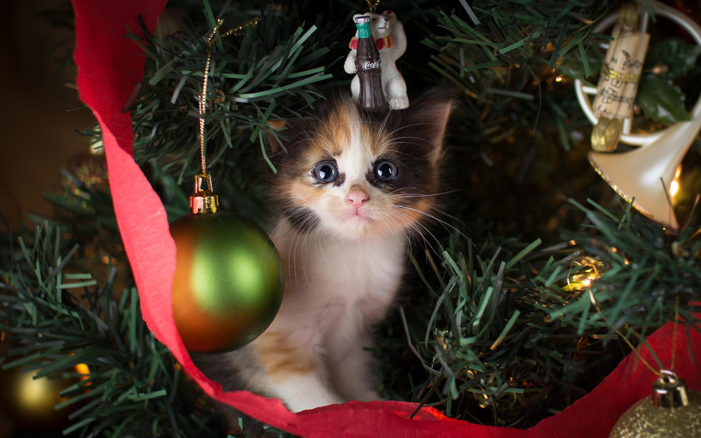 Маленький милый котенок сидит на нарядной елке на новый год