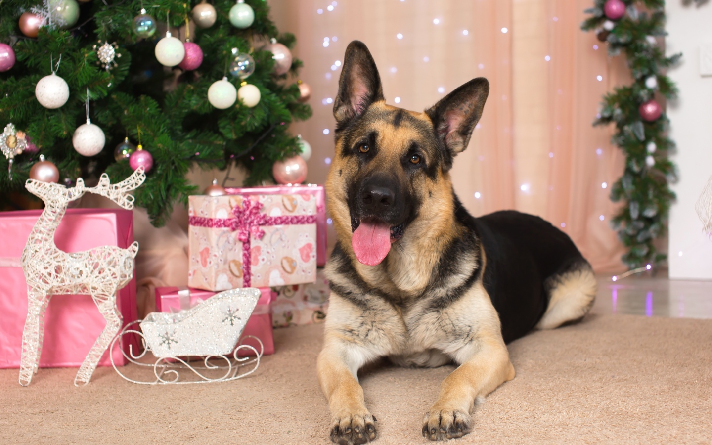 Немецкая овчарка с высунутым языком под елкой, С Новым 2018 годом собаки 