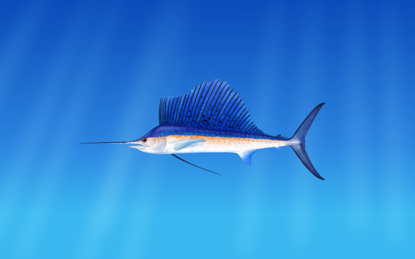 Морская  рыба марлин  на голубом фоне 