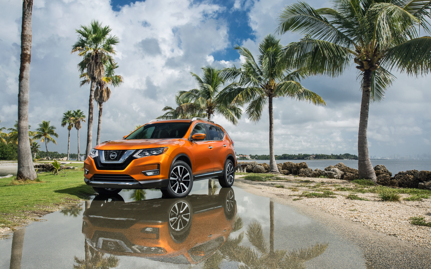 Оранжевый внедорожник Nissan Rogue на фоне пальм
