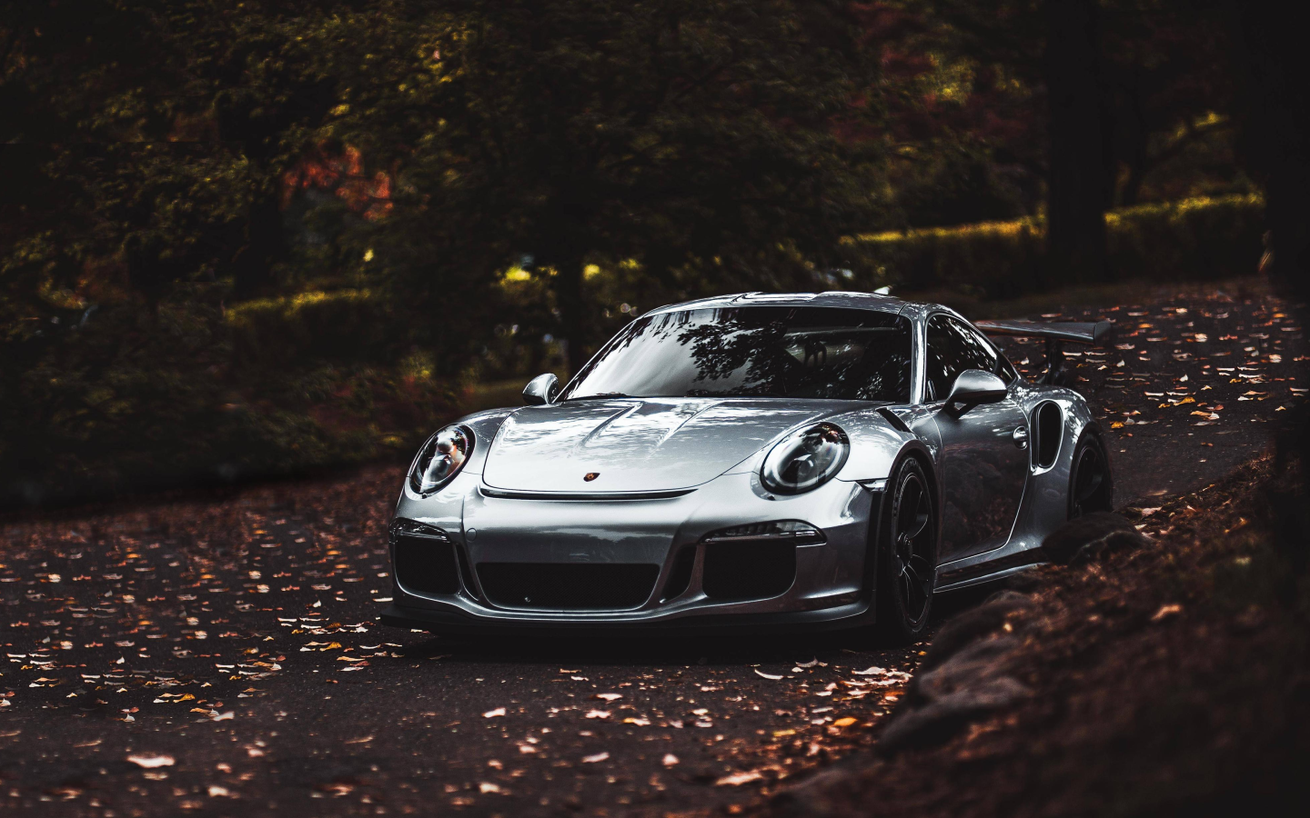 Серебристый автомобиль Porsche 911 Carrera S 