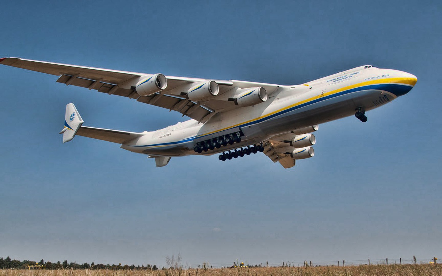 Самый большой самолет Ан-225 Мрия взлетает 