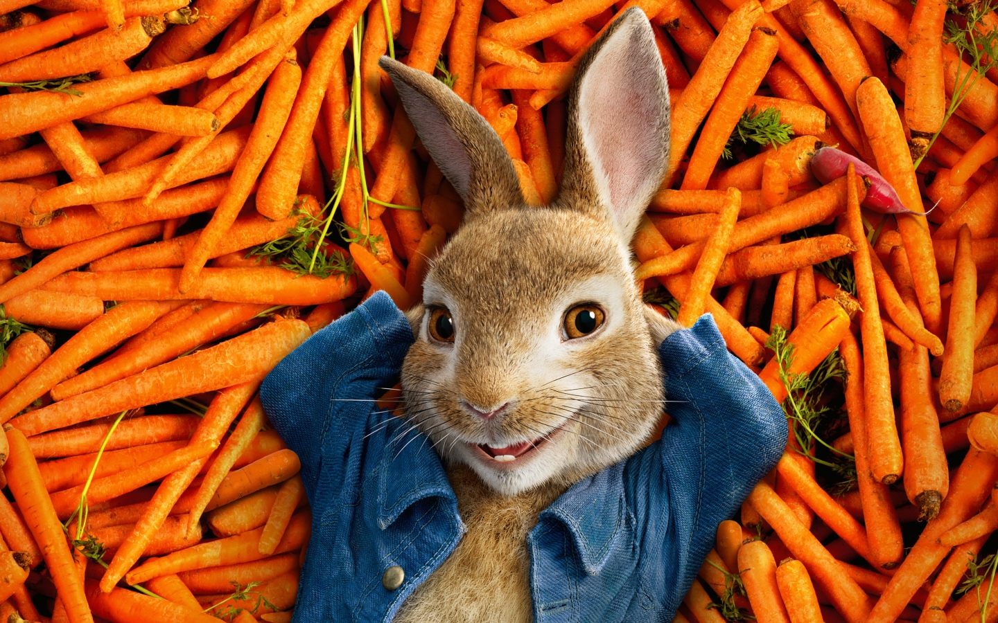 Кролик персонаж мультфильма Приключения Кролика Питера, 2018