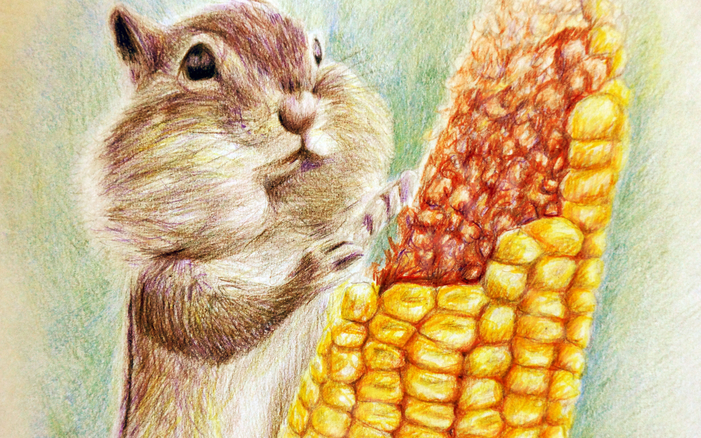 Нарисованный бурундук с кукурузой