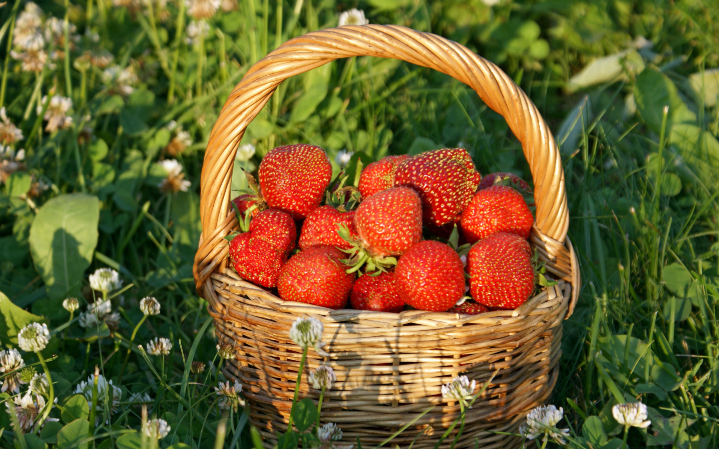 Корзина свежей клубники стоит на траве