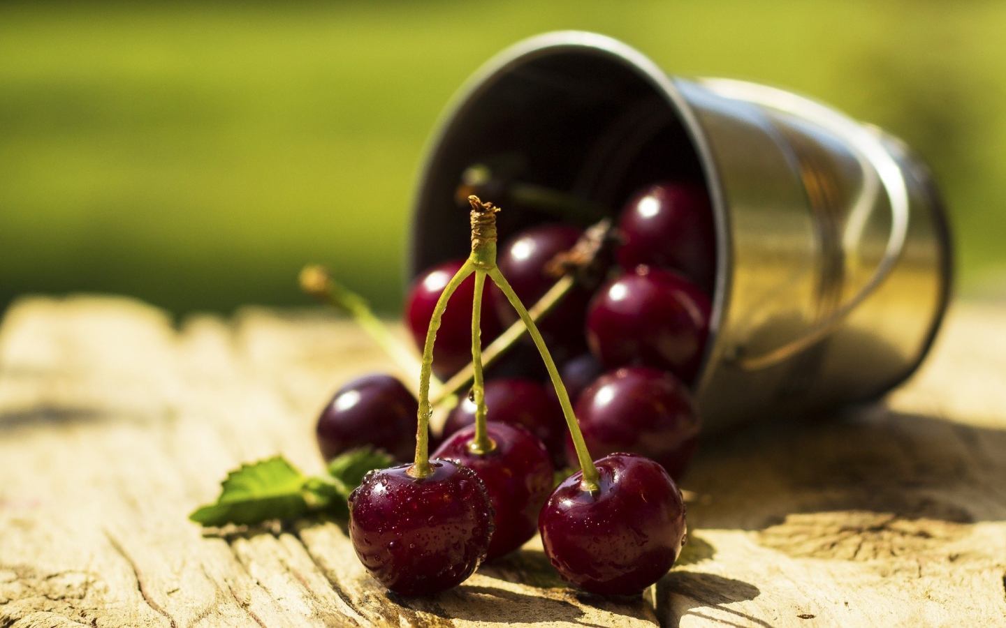 Спелые вишни в капельках воды  на столе с маленьким железным ведерком