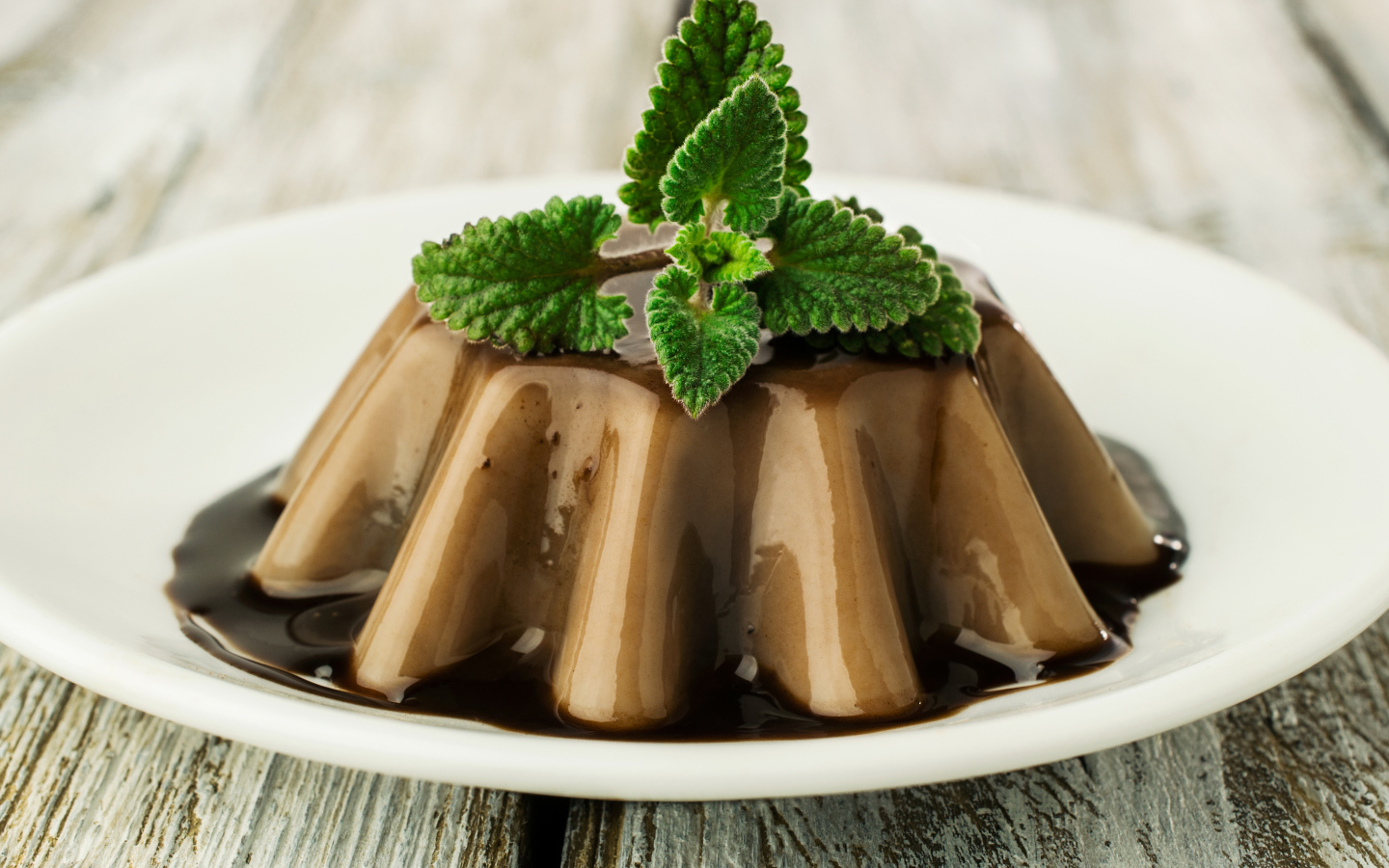 Десерт из желе на белой тарелке с шоколадом