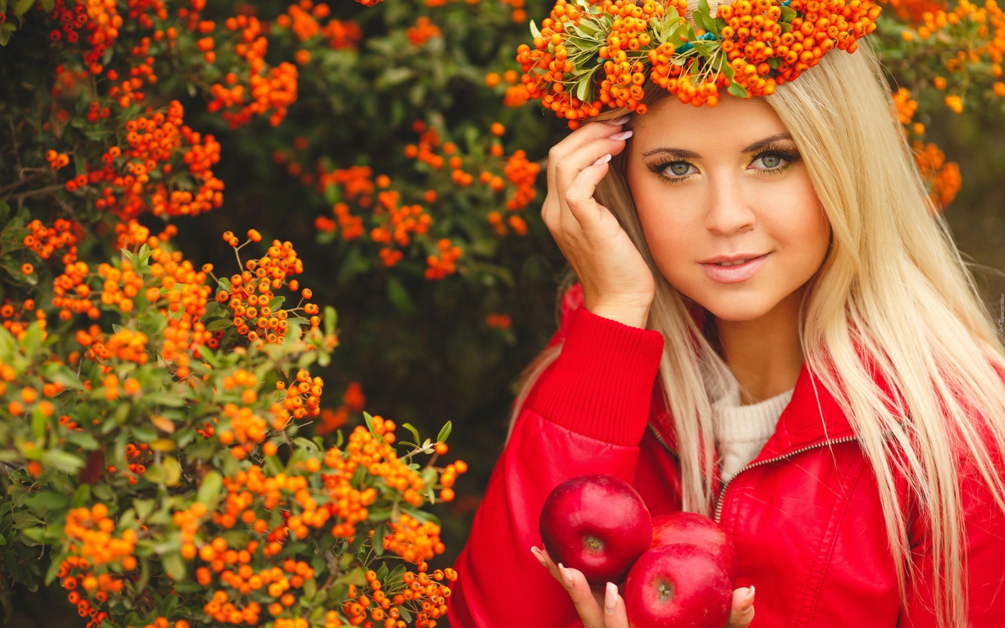 Красивая девушка с венком из рябины на голове и с красными яблоками в руках 