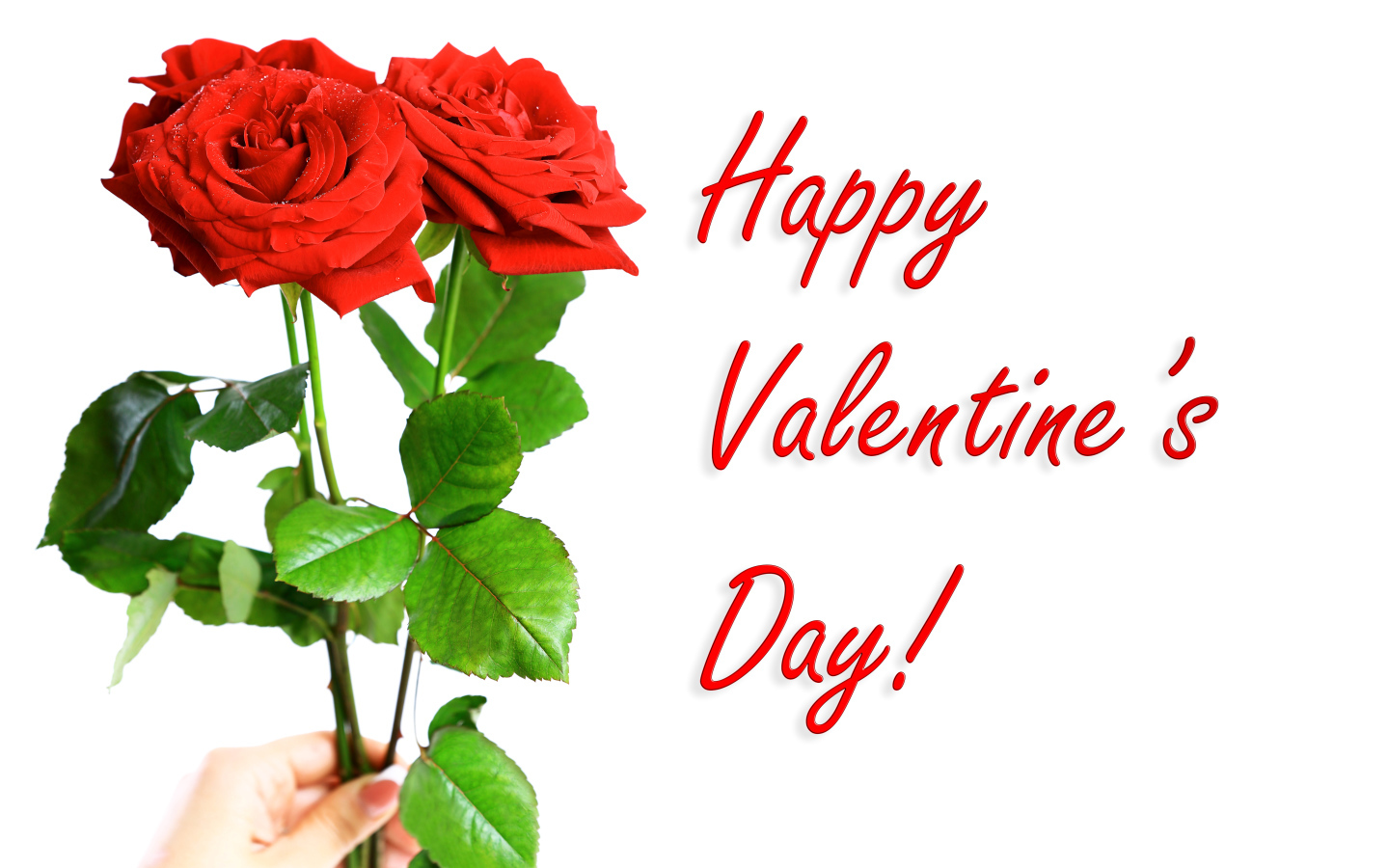 Три красных розы на День Святого Валентина, 14 февраля