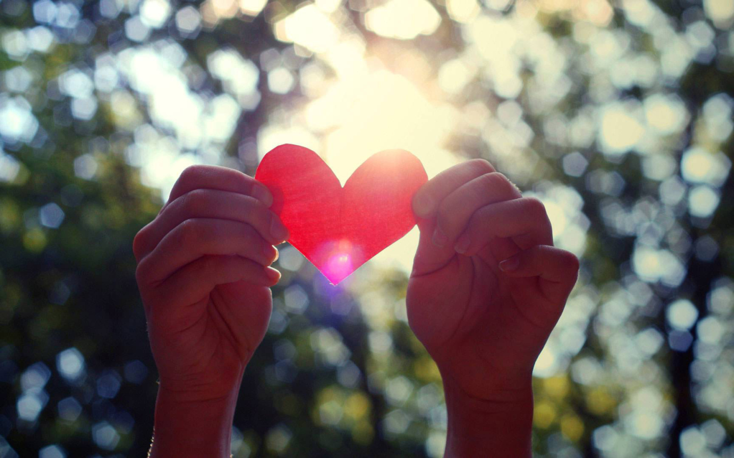 Бумажное сердце в руках 