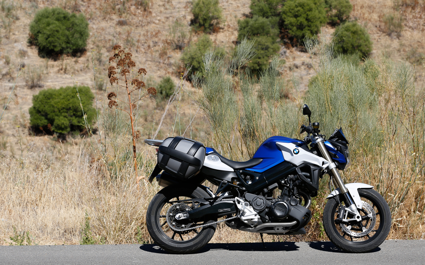 Мотоцикл BMW F800R стоит на асфальте