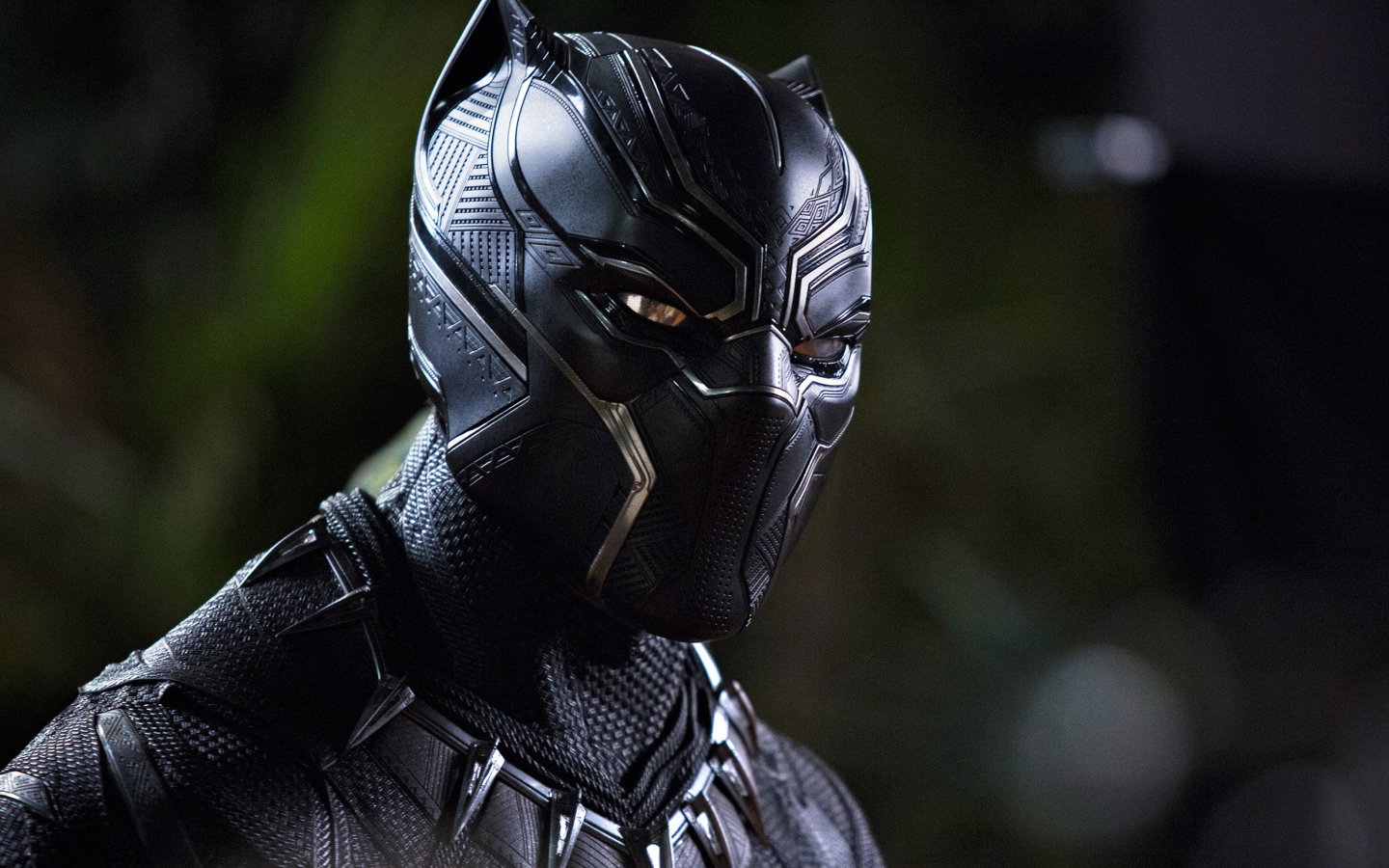 Главный персонаж нового фантастического фильма Черная пантера, 2018