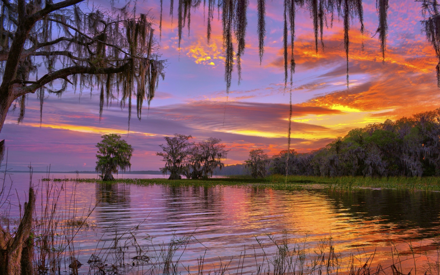 Красивое небо на закате над лесным озером