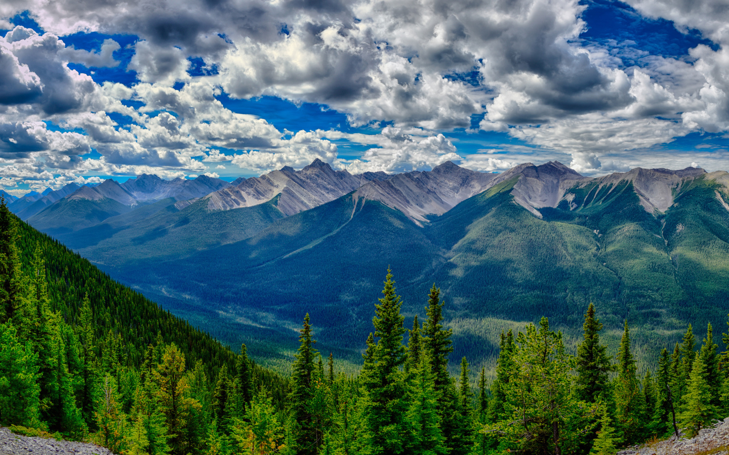 Красивое небо с белыми облаками над покрытыми лесом горами