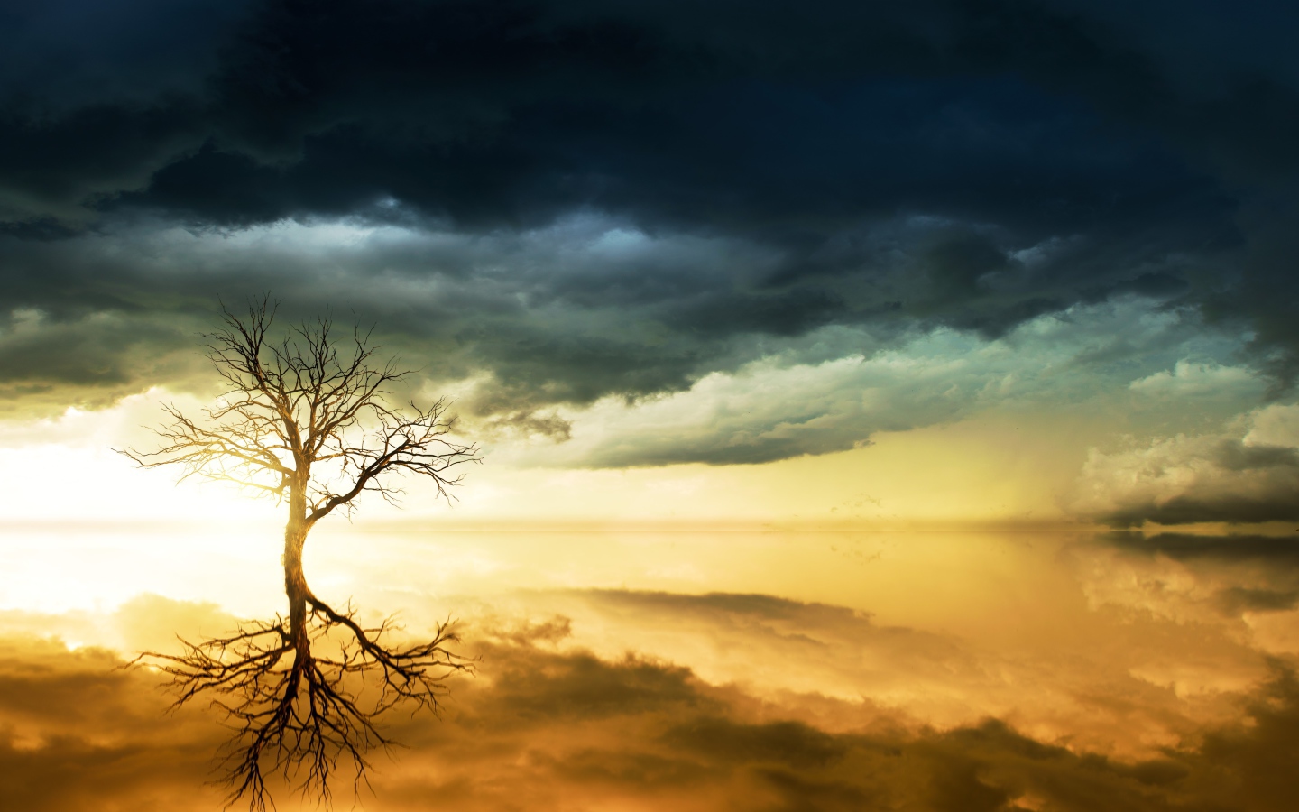 Черные облака в небе и дерево отражаются в воде