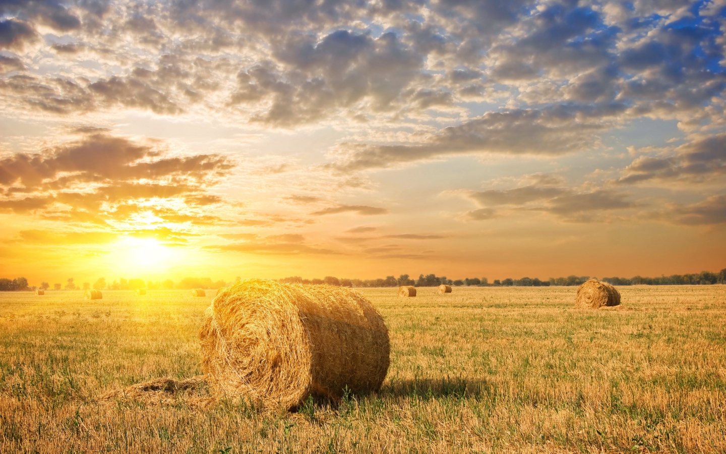 Яркое летнее солнце на закате над полем с соломой