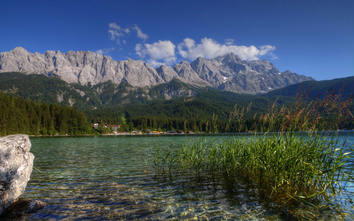 Зеленый лес у горного озера, Германия
