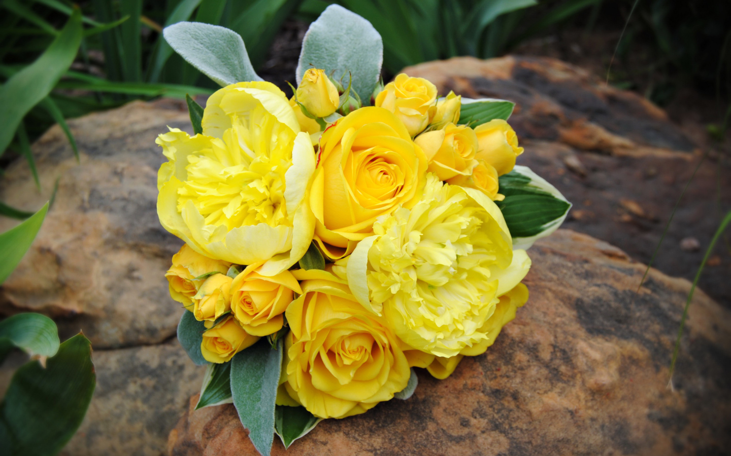 Букет желтых роз с желтыми пионами лежит на камне