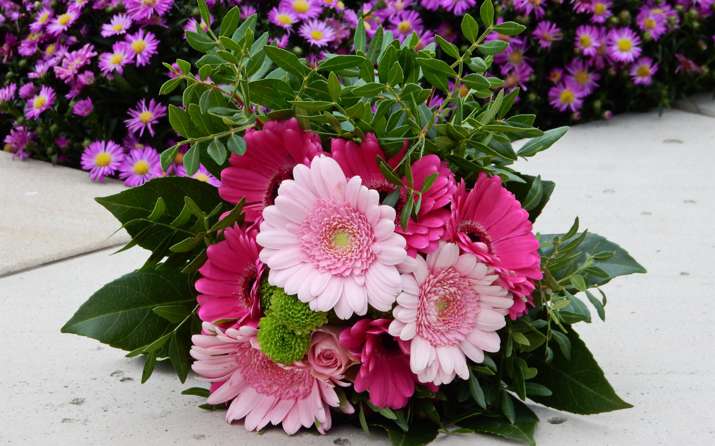 Красивый букет розовых гербер 