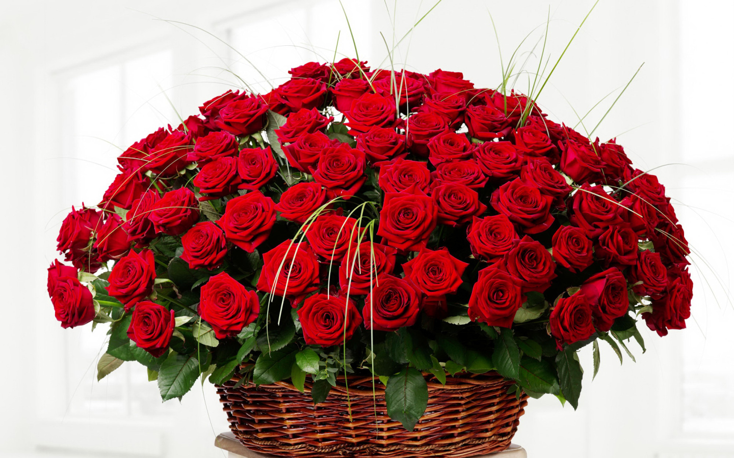 Большой букет красивых красных роз в корзине на белом фоне 