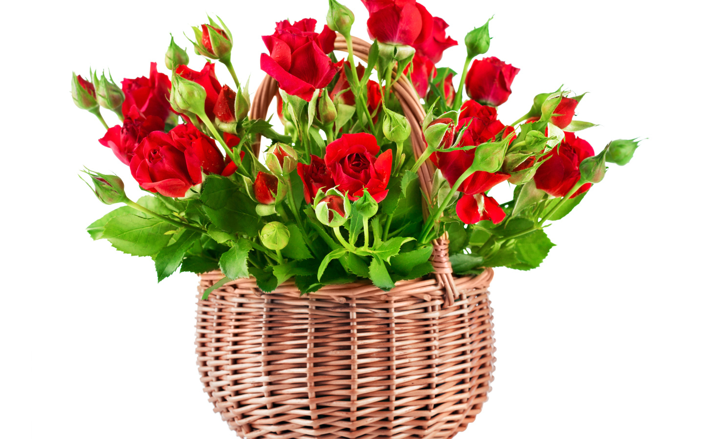 Букет красивых красных роз в корзине на белом фоне 