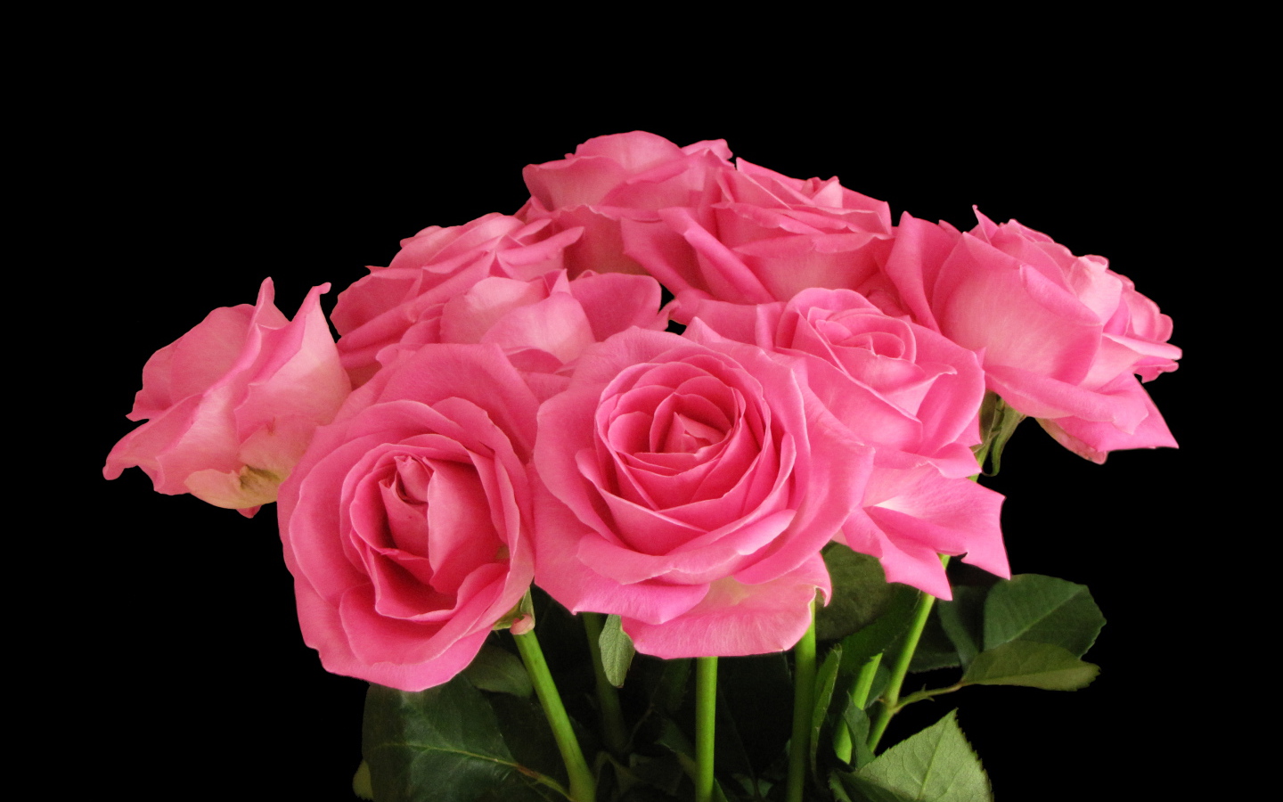 Букет розовых роз на черном фоне крупным планом