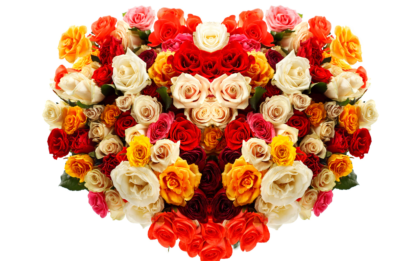 Сердце из разноцветных роз на белом фоне