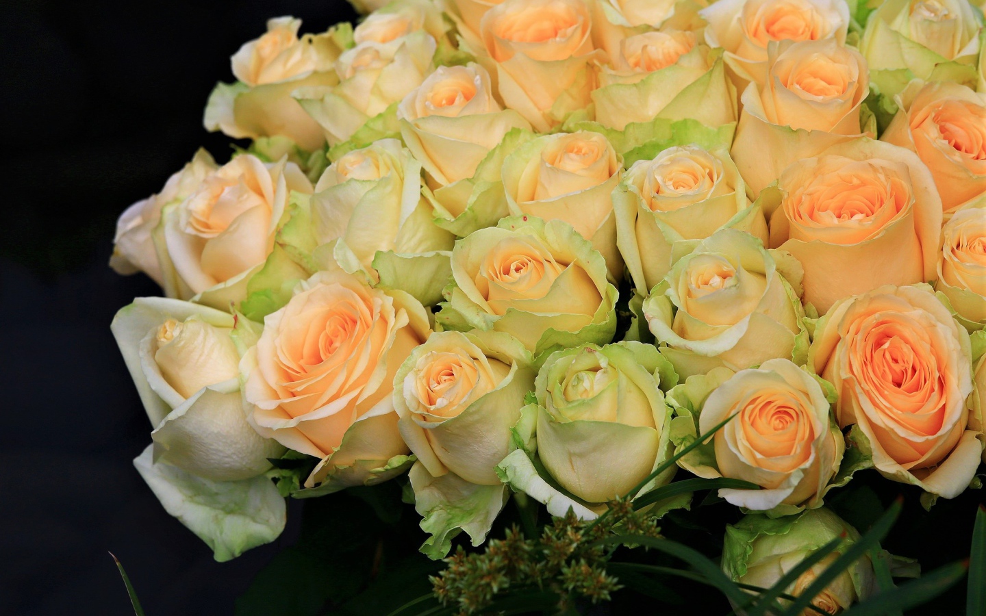 Большой букет нежных роз персикового цвета