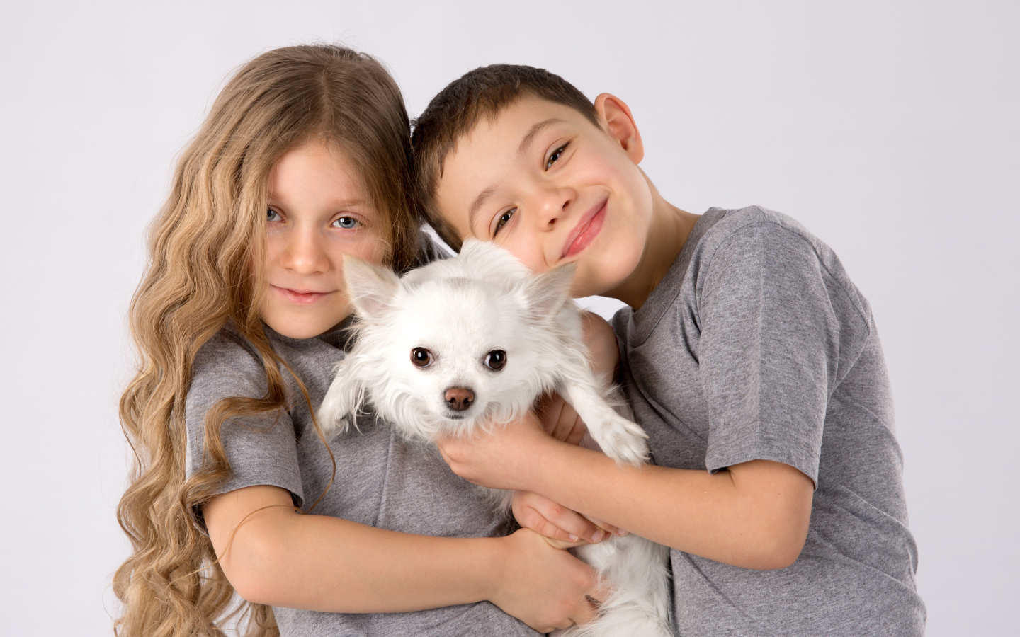 Мальчик и девочка держат в руках белого чихуахуа