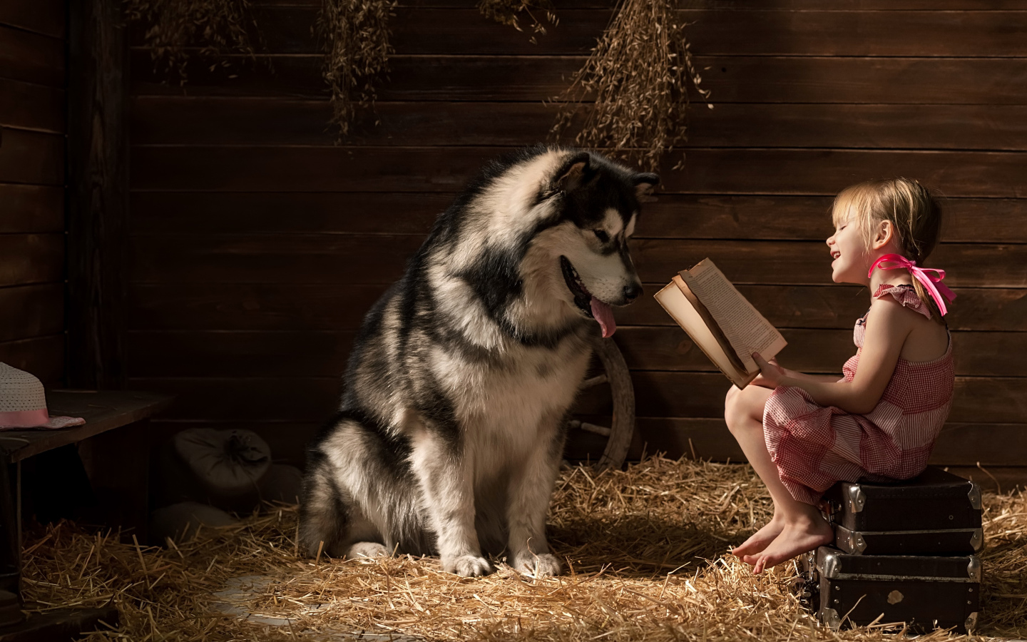 Маленькая девочка читает книгу собаке породы хаски