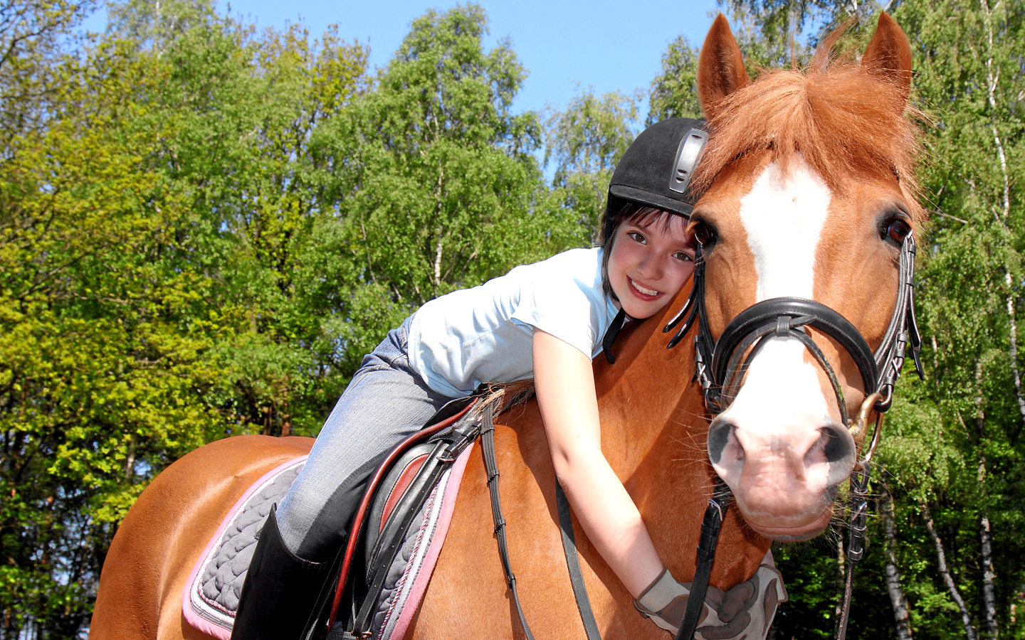 Маленькая девочка сидит на коричневой лошади