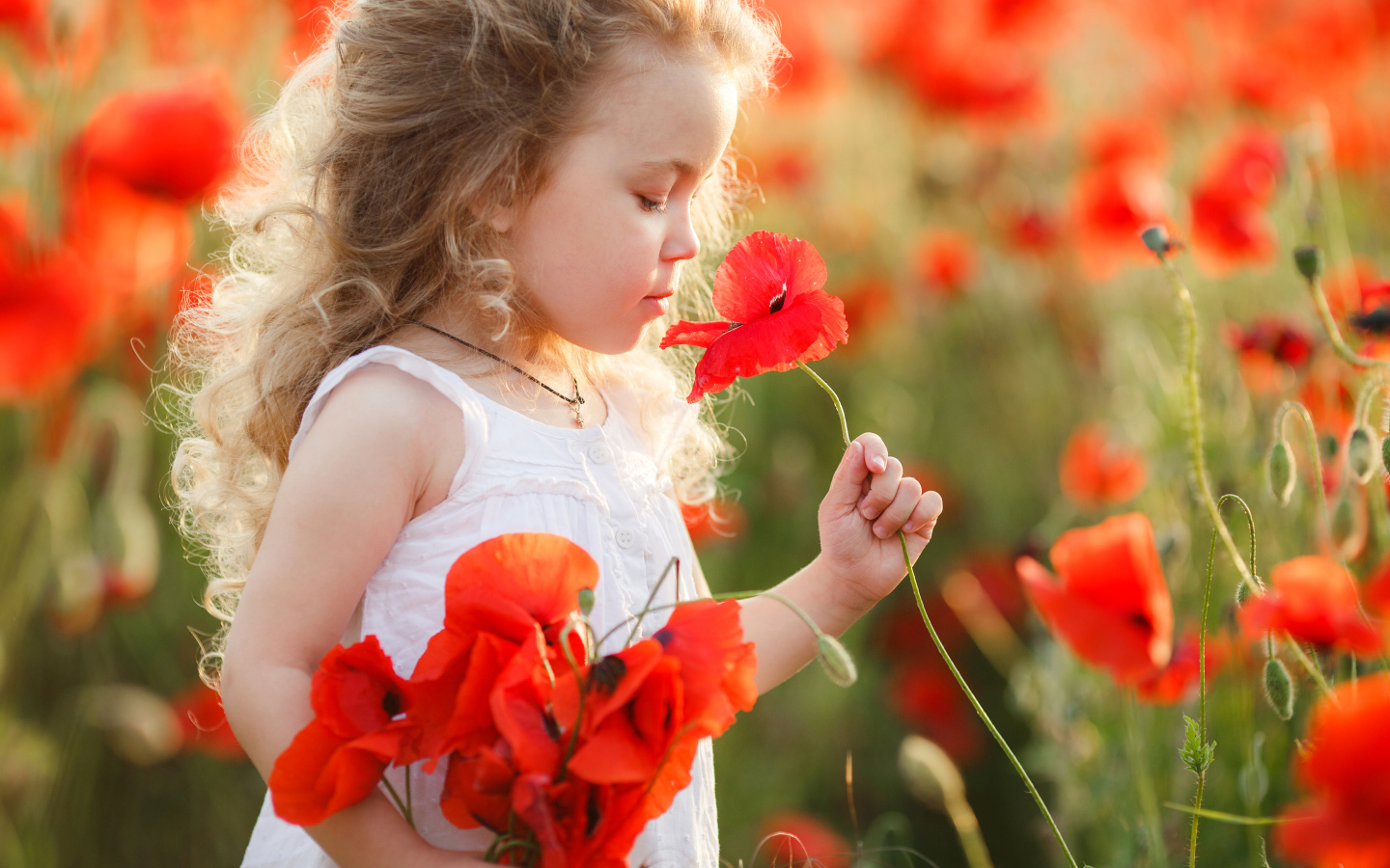 Маленькая девочка с букетом красных маков в руке