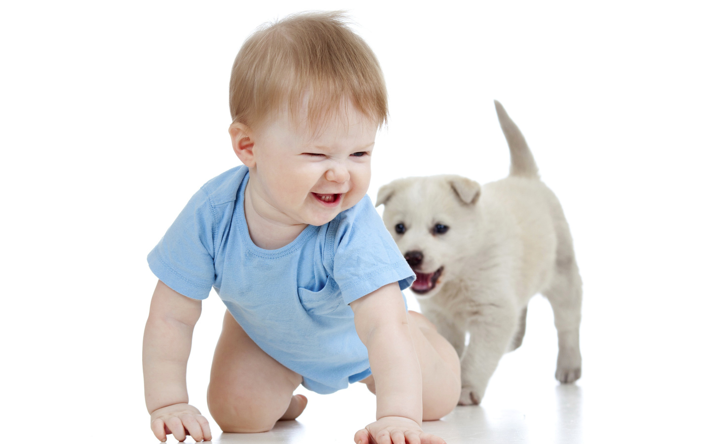 Маленький улыбающийся мальчик с щенком на белом фоне